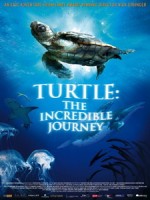 [英] 在海裡飛翔 (Turtle - The Incredible Journey) (2008)