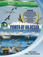 赤道 - 海洋的力量 (Equator - Power of an Ocean)