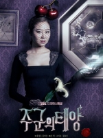 [韓] 主君的太陽 (The Master s Sun) (2013) [Disc 2/2][台版]