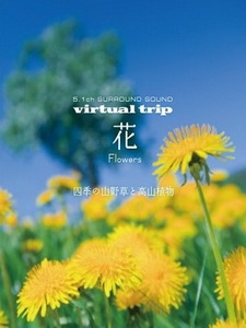 實境之旅 - 花 (Virtual Trip - Flowers)