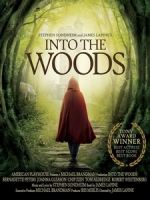 [英] 魔法黑森林 (Into the Woods) (2014)[台版]