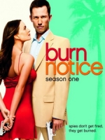 [英] 特務黑名單 第一季 (Burn Notice S01) (2007)[台版字幕]