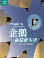 企鵝的秘密生活 (Penguins Spy In The Huddle)[台版]