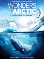 奇幻冰極 3D (Wonders of the Arctic 3D) <2D + 快門3D>