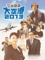 [日] 大空港 2013 (Airport 2013) (2013)