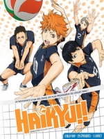 [日] 排球少年！！ 第一季 (Haikyuu S01) (2014)[台版字幕]