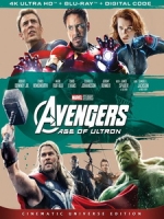 [英] 復仇者聯盟 2 - 奧創紀元 (Avengers - Age of Ultron) (2015)[台版]