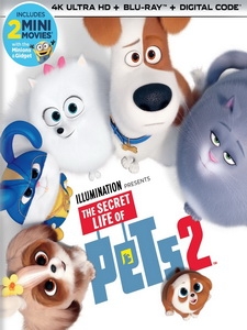 [英] 寵物當家 2 (The Secret Life of Pets 2) (2018)[台版]