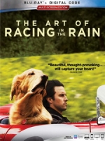 [英] 我在雨中等你 (The Art of Racing in the Rain) (2019)[台版字幕]