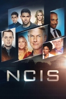 [英] 重返犯罪現場 第十七季 (NCIS S17) (2019) [Disc 2/2]