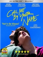 [英] 以你的名字呼喚我 (Call Me by Your Name) (2017)[台版]