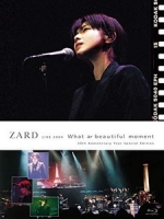 ZARD - LIVE 2004“What a beautiful moment" 演唱會