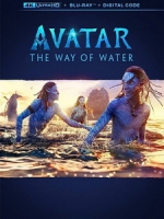 [英] 阿凡達 - 水之道 (Avatar - The Way of Water) (2022)[台版字幕]