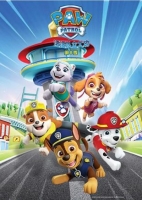 [英]汪汪隊立大功 / 狗狗巡邏隊    第5-8季 【TV全集+2021大電影版】   [Disc *4]