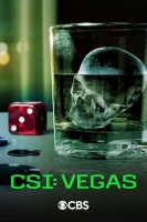 [英] 犯罪現場調查：維加斯 第三季 CSI: Vegas Season 3 (2024)[Disc *2]