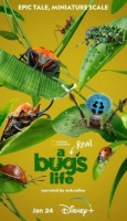 [英] 蟲蟲危機 / 蟲蟲歷險記 A Real Bug's Life (2024)