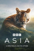 [英] 亞洲 Asia (2024) [Disc *2]