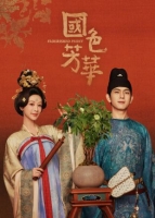 [中] 國色芳華 (2025)  [Disc *3]