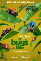 [英] 蟲蟲危機/ 蟲蟲特工隊第一季 A Real Bug's Life Season 1 (2024)