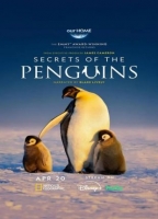 [英] 企鵝之謎 Secrets of the Penguins (2025)