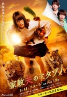 [日] 家政夫三田園7 家政夫のミタゾノ7 (2025) [Disc *2]